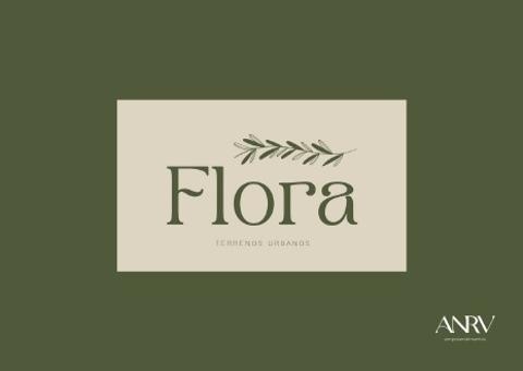 Imagem do lançamento