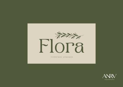 Imagem do lançamento